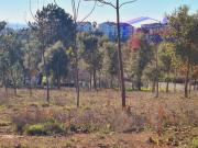 Terreno com 7107m2, viabilidade de construção em...