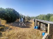 Terreno com 7.000 m2 no centro de Manique Ideal para...