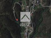 Terreno com 7.550 m² no Lugar do Leverinho / Foz de Sousa