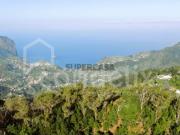Terreno com 8955 m2 em Santo António da Serra