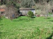 Terreno com 952 m² || Pinhete || Pombal