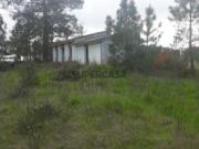 Terreno com 9980m2, Lapa Aveiras de Cima / Cartaxo