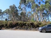 Terreno com 9.999M2, para construção de espaço de...