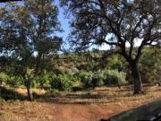 Terreno com água e excelente acesso