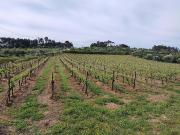 Terreno com área de 1 hectare e 200 metros