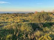 Terreno com Capacidade Construtiva para Moradia com...