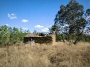 Terreno com casa em xisto e 2 poços Vilares Terreno com casa em xisto e 2 poços Vilares