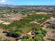 Terreno com casa rústica com projeto aprovado em Fonte Santa