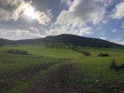 Terreno com enorme potencial com 58 ha, Beja, Mértola