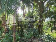 TERRENO COM ESCRITURA DEFINITIVA E VISTA PARA O MAR