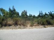 Terreno com imenso potencial