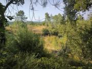 Terreno com mina de água Cabeço do Infante Terreno com mina de água Cabeço do Infante