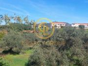 Terreno com mina de água e uma Ruina em Alte, Loulé, Algarve