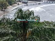 terreno com ótima vista para o MAR