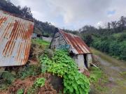 Terreno com palheiro e com boa vista