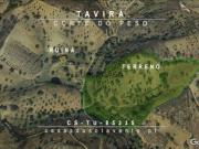 TERRENO COM PEQUENA RUÍNA EM CORTE DO PESO