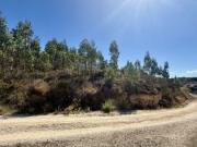 Terreno com PIP aprovado