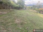 Terreno com PIP aprovado viabilidade de construo