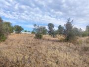 Terreno com possibilidade de construção em Salir