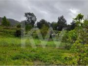 Terreno com possibilidade de construção moradia de...