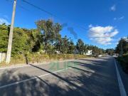 TERRENO COM POTENCIAL DE CONSTRUÇÃO PICASSINOS, Mª GRANDE