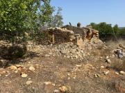 Terreno com projecto aprovado para Turismo Rural