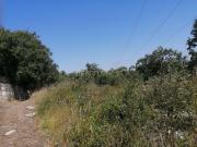 Terreno com projeto aprovado