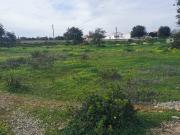 Terreno com projeto aprovado para 2 moradias...