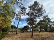 Terreno com projeto aprovado para construção de moradia...