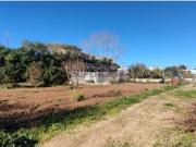 Terreno com Projeto Aprovado para Moradia de Sonho Lourinhã