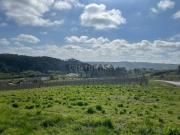 Terreno Rústico em Salir de Matos, Caldas da Rainha