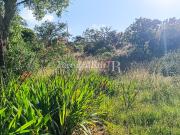 Terreno com Ribeiro, a 3 KM das Praias Costa Vicentina...
