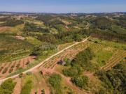 Terreno com Ruína, Carvalhal Benfeito, Caldas da Rainha...