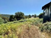 Terreno com Ruína, Castelões, Penafiel | BPI Expresso...