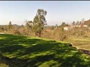 Terreno com Ruina com viabilidade construtiva em Escariz
