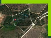 Terreno com Ruína, Cortes Do Meio, Covilhã | BPI...