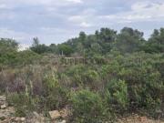 Terreno com ruina em Santa Margarida, Tavira, Algarve