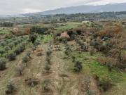 Quinta T1 / Fundão, Alpedrinha