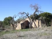 Terreno com ruína para reconstruir em Conceição Faro,...