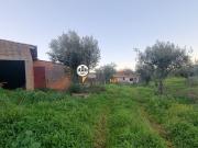 Terreno com vários anexos, Venda, Taberna Seca