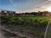 Terreno com viabilidade de construção