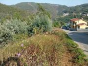 Terreno com viabilidade de Construção