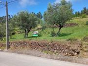 Terreno com viabilidade de construção em Penela