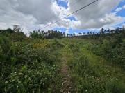 Terreno com viabilidade de construção localizado em Águeda!