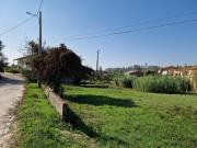 Terreno com Viabilidade de Construção Pombal Terreno com Viabilidade de Construção Pombal