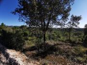 Terreno com vista fabulosa sobre Aljubarrota