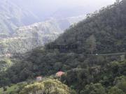 Terreno com Vista Mar e Potencial de Construção no Faial