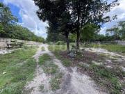 Terreno Comercial en Venta, 2 hectáreas en Carretera...