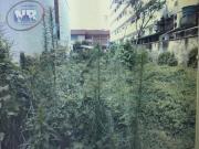 Terreno comercial à venda, Jardim São Francisco, Cubatão