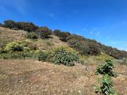 Terreno Comercial al costado de Natura Residencial